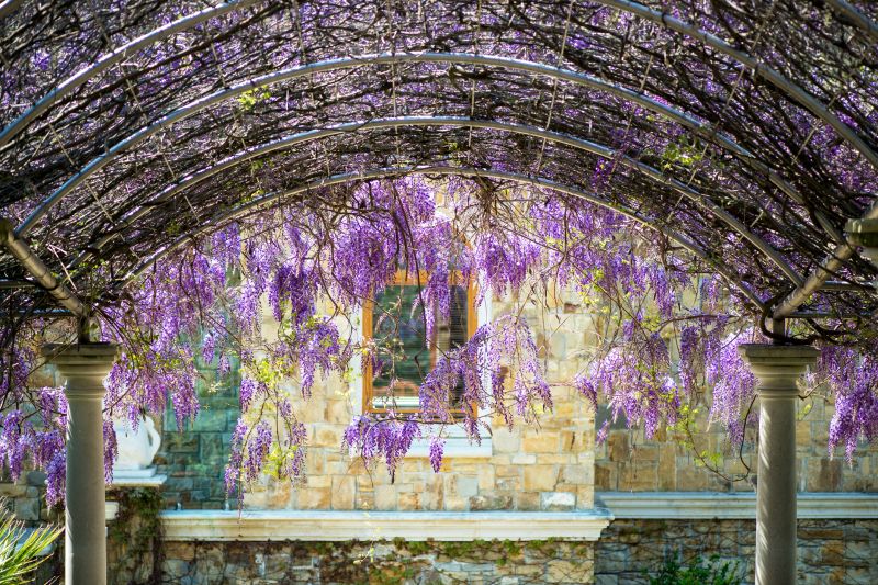 Arched Trellis Assembly