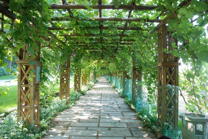 Wooden Arched Trellis in Garden Pathway
