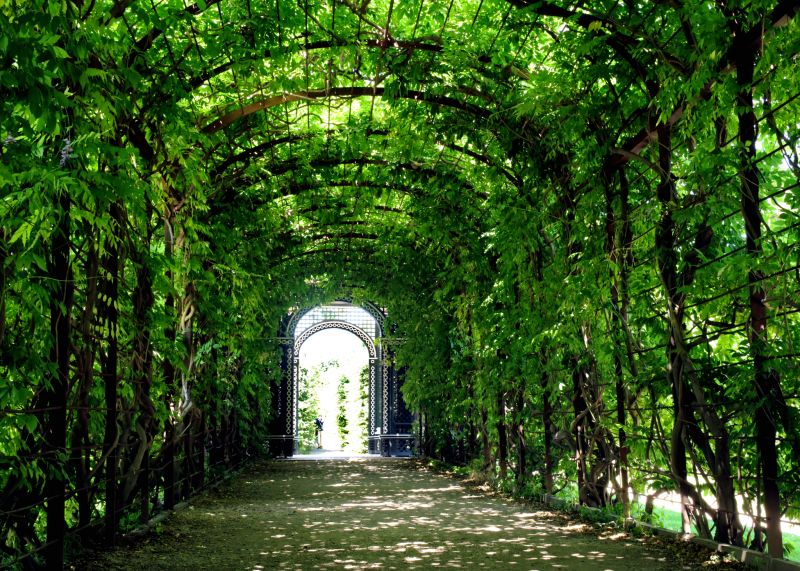 Materials for Trellis Assemblies