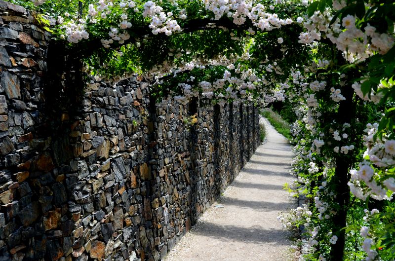 Arched Trellis Assembly