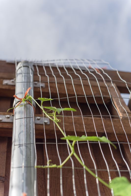 Maintenance Professionals