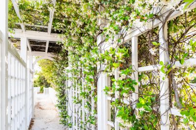 Arched Trellis Assembly Service